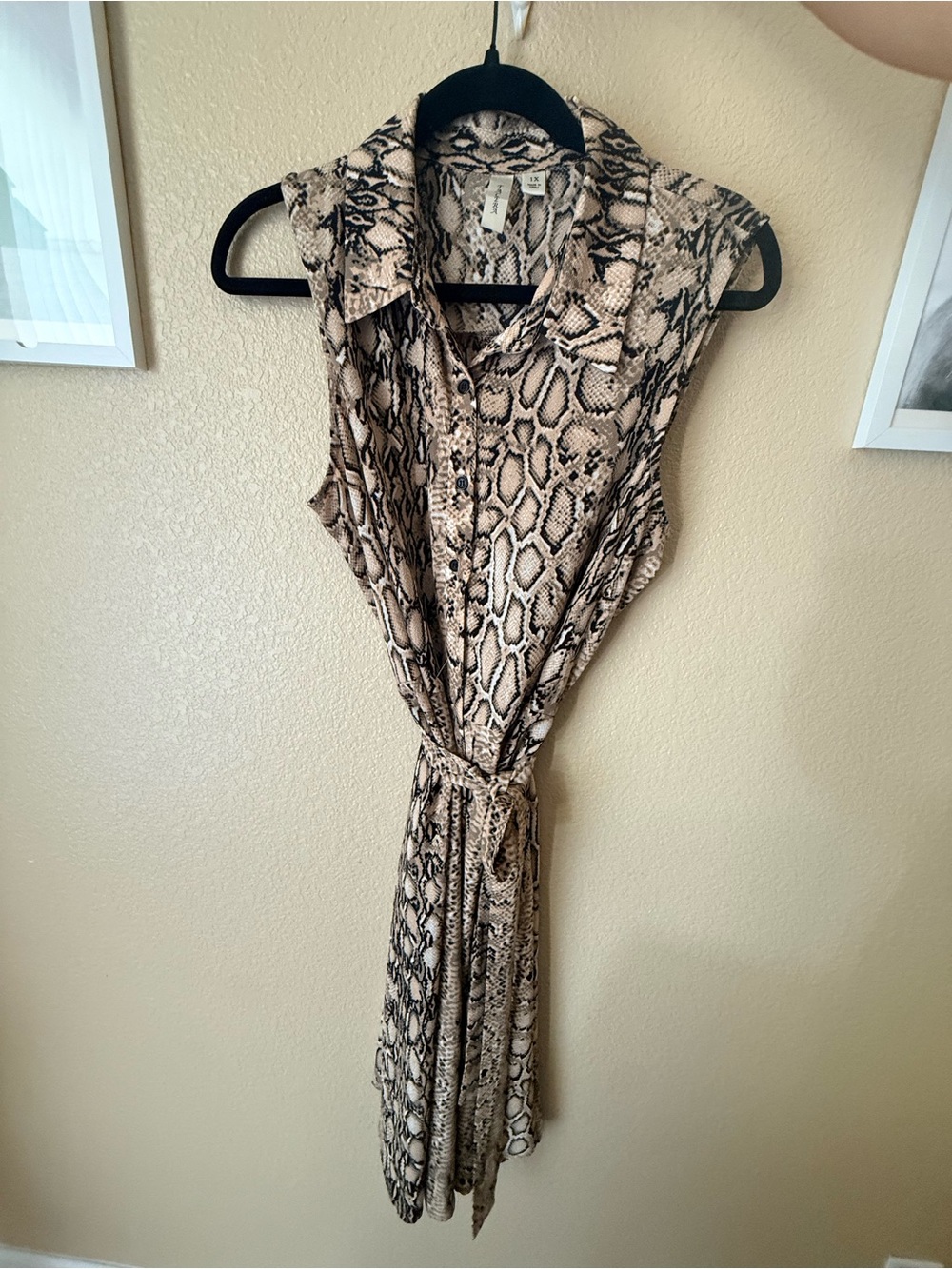 Tacera Sleeveless Snake Print Button-Front Shirt Dress in Beige and Black